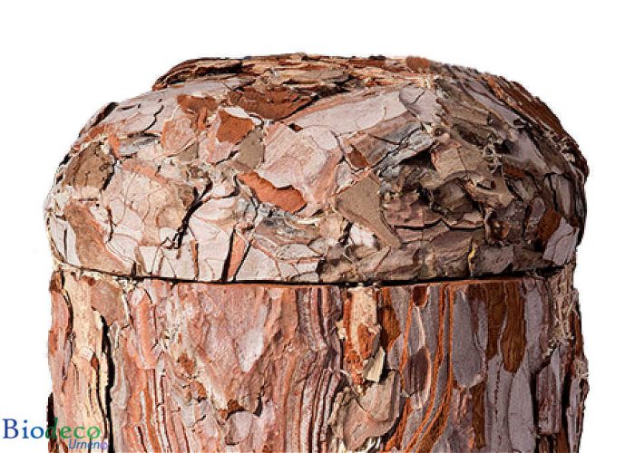 Detail van de biologisch afbreekbare Pijnboomschors-urn, voor een asbijzetting in de aarde
